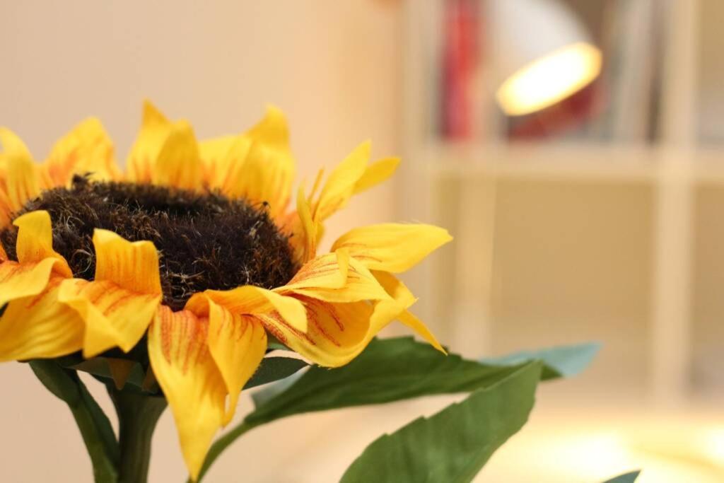 Fast Friend - Cozy Apartment In The Center With Private Garage Rijeka Eksteriør billede