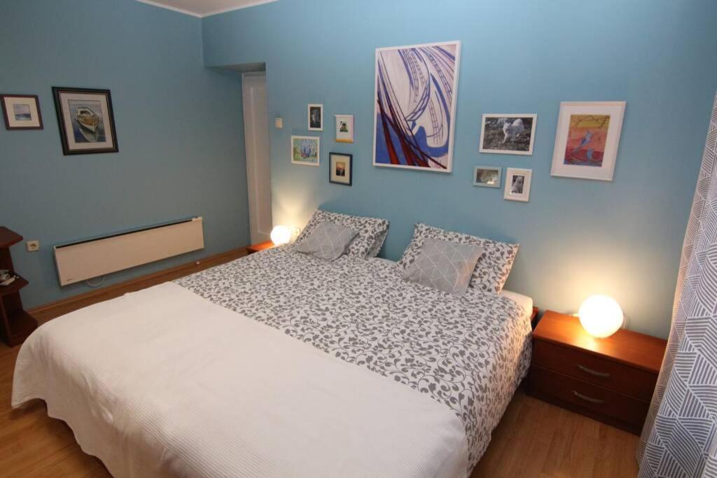 Fast Friend - Cozy Apartment In The Center With Private Garage Rijeka Eksteriør billede
